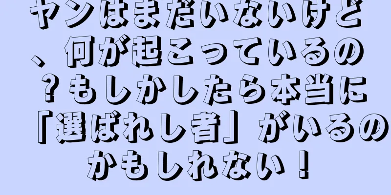 ヤンはまだいないけど、何が起こっているの？もしかしたら本当に「選ばれし者」がいるのかもしれない！