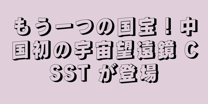 もう一つの国宝！中国初の宇宙望遠鏡 CSST が登場