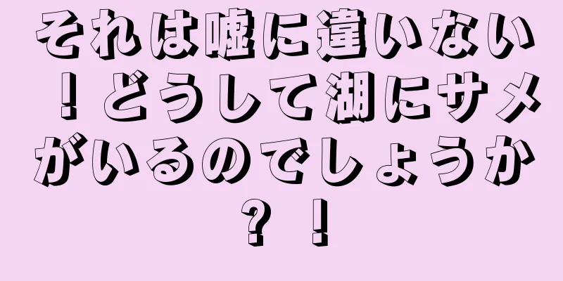 それは嘘に違いない！どうして湖にサメがいるのでしょうか? ！