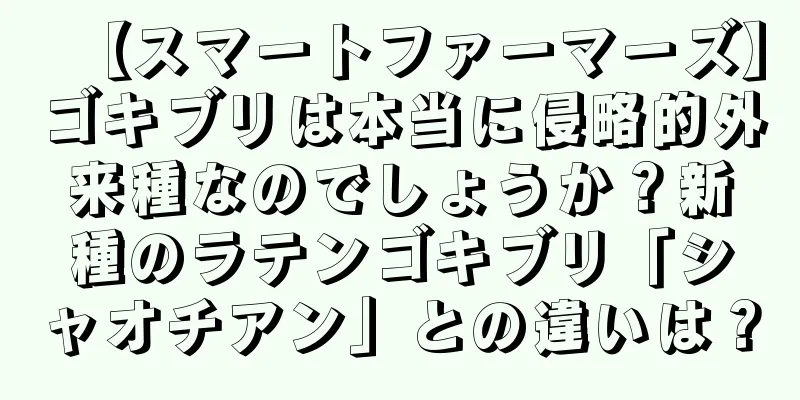 【スマートファーマーズ】ゴキブリは本当に侵略的外来種なのでしょうか？新種のラテンゴキブリ「シャオチアン」との違いは？