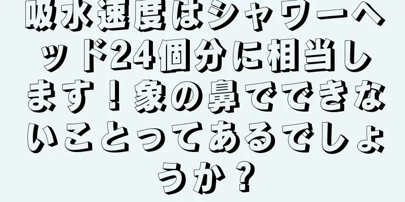吸水速度はシャワーヘッド24個分に相当します！象の鼻でできないことってあるでしょうか？