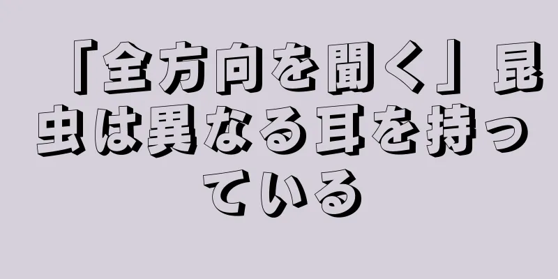 「全方向を聞く」昆虫は異なる耳を持っている