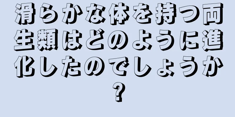 滑らかな体を持つ両生類はどのように進化したのでしょうか?