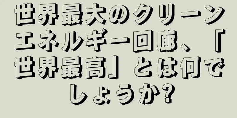 世界最大のクリーンエネルギー回廊、「世界最高」とは何でしょうか?