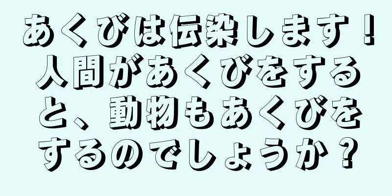 あくびは伝染します！人間があくびをすると、動物もあくびをするのでしょうか？