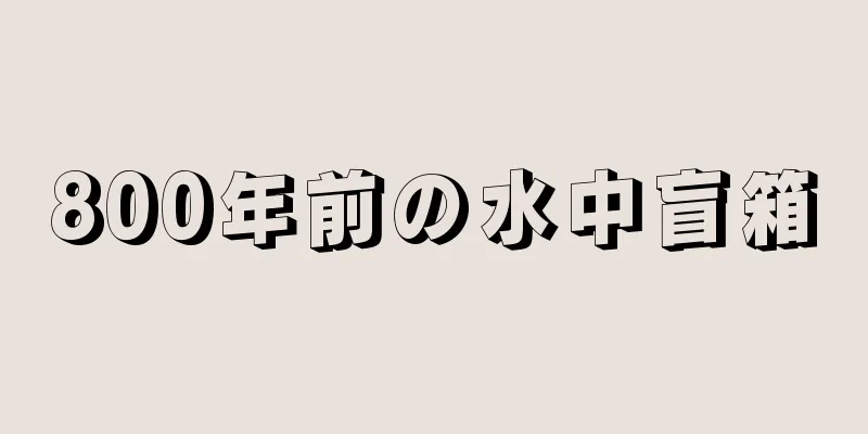 800年前の水中盲箱