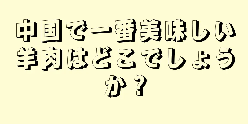 中国で一番美味しい羊肉はどこでしょうか？