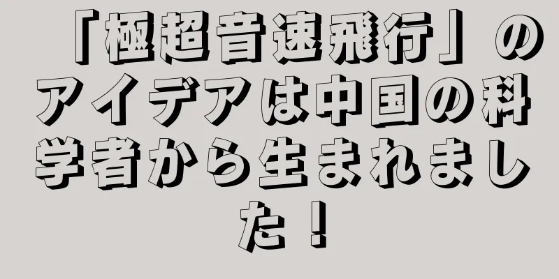 「極超音速飛行」のアイデアは中国の科学者から生まれました！