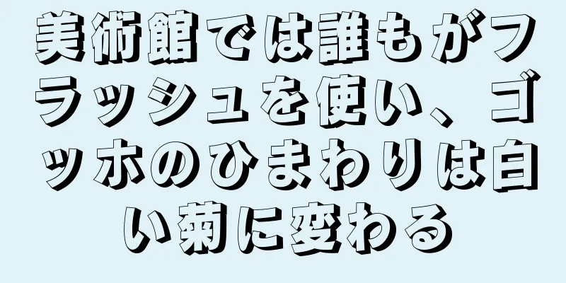 美術館では誰もがフラッシュを使い、ゴッホのひまわりは白い菊に変わる