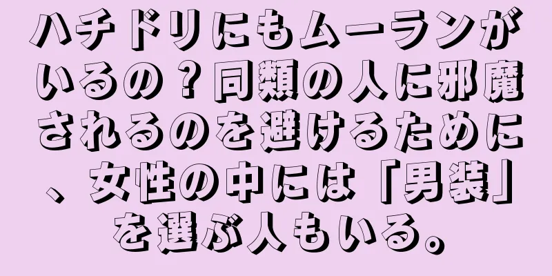ハチドリにもムーランがいるの？同類の人に邪魔されるのを避けるために、女性の中には「男装」を選ぶ人もいる。