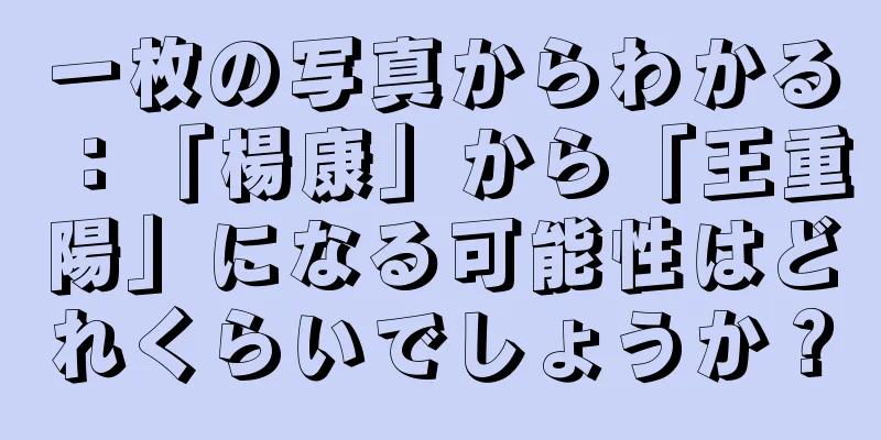 一枚の写真からわかる：「楊康」から「王重陽」になる可能性はどれくらいでしょうか？