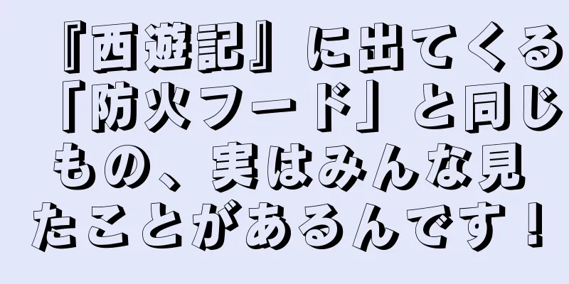 『西遊記』に出てくる「防火フード」と同じもの、実はみんな見たことがあるんです！