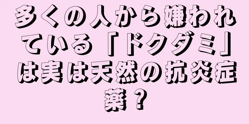 多くの人から嫌われている「ドクダミ」は実は天然の抗炎症薬？