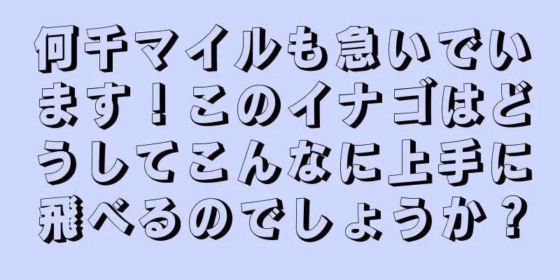 何千マイルも急いでいます！このイナゴはどうしてこんなに上手に飛べるのでしょうか？