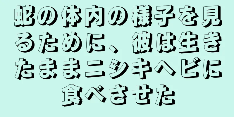 蛇の体内の様子を見るために、彼は生きたままニシキヘビに食べさせた