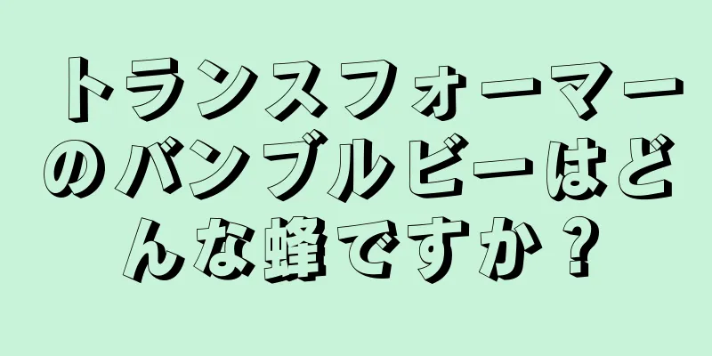 トランスフォーマーのバンブルビーはどんな蜂ですか？