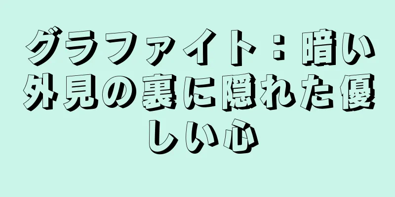グラファイト：暗い外見の裏に隠れた優しい心