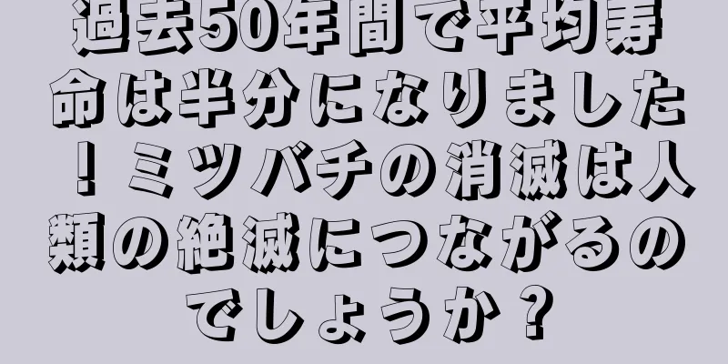 過去50年間で平均寿命は半分になりました！ミツバチの消滅は人類の絶滅につながるのでしょうか？
