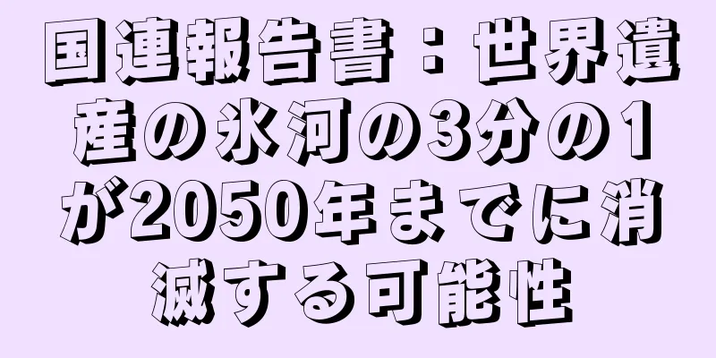 国連報告書：世界遺産の氷河の3分の1が2050年までに消滅する可能性