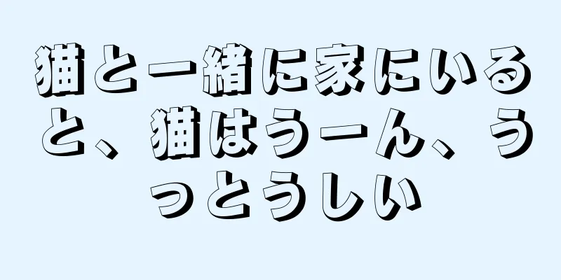 猫と一緒に家にいると、猫はうーん、うっとうしい