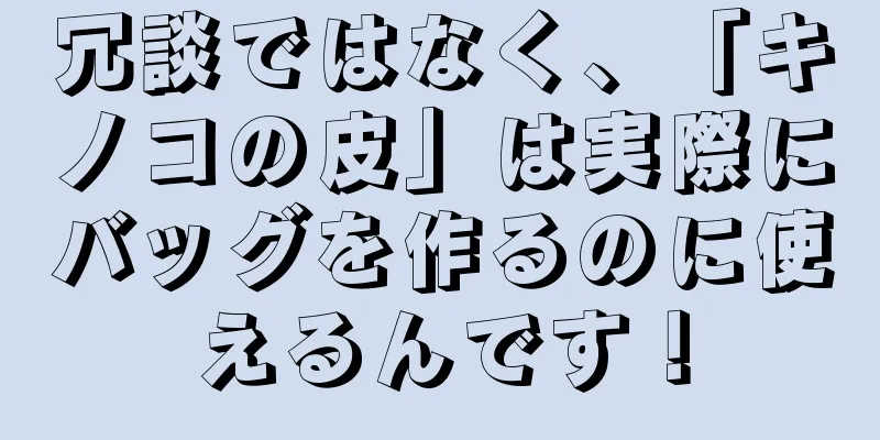 冗談ではなく、「キノコの皮」は実際にバッグを作るのに使えるんです！