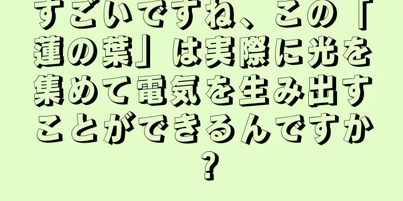 すごいですね、この「蓮の葉」は実際に光を集めて電気を生み出すことができるんですか？