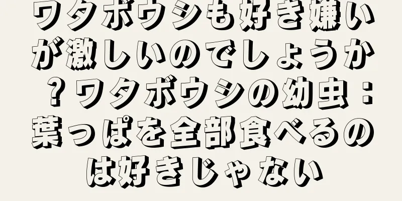 ワタボウシも好き嫌いが激しいのでしょうか？ワタボウシの幼虫：葉っぱを全部食べるのは好きじゃない