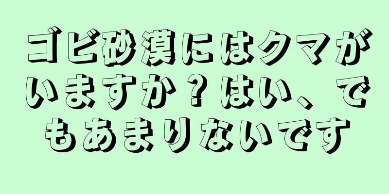 ゴビ砂漠にはクマがいますか？はい、でもあまりないです
