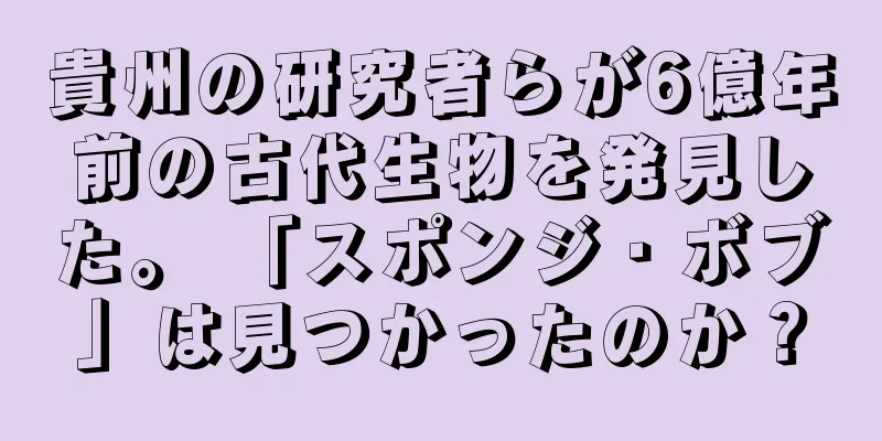 貴州の研究者らが6億年前の古代生物を発見した。 「スポンジ・ボブ」は見つかったのか？