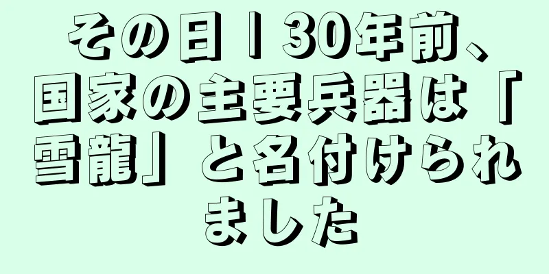 その日 | 30年前、国家の主要兵器は「雪龍」と名付けられました