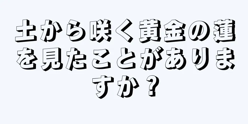 土から咲く黄金の蓮を見たことがありますか？