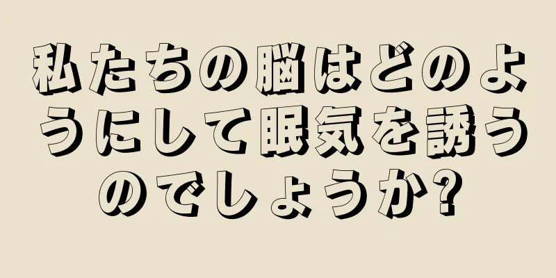 私たちの脳はどのようにして眠気を誘うのでしょうか?