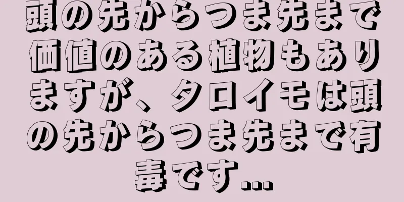 頭の先からつま先まで価値のある植物もありますが、タロイモは頭の先からつま先まで有毒です...