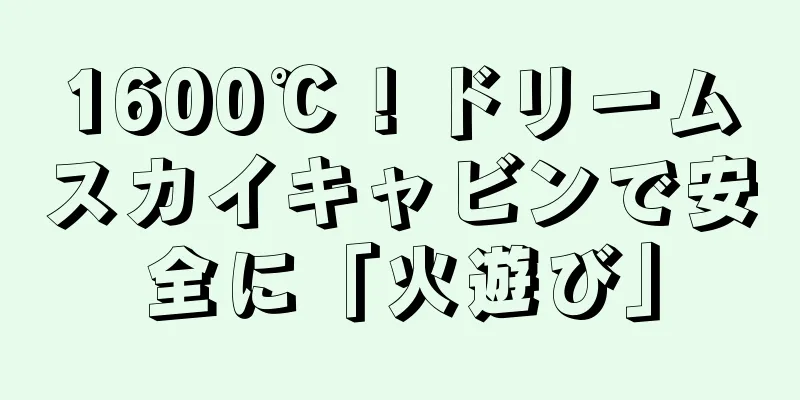 1600℃！ドリームスカイキャビンで安全に「火遊び」