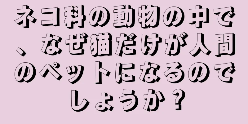 ネコ科の動物の中で、なぜ猫だけが人間のペットになるのでしょうか？