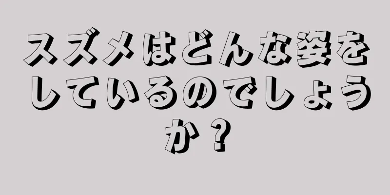 スズメはどんな姿をしているのでしょうか？