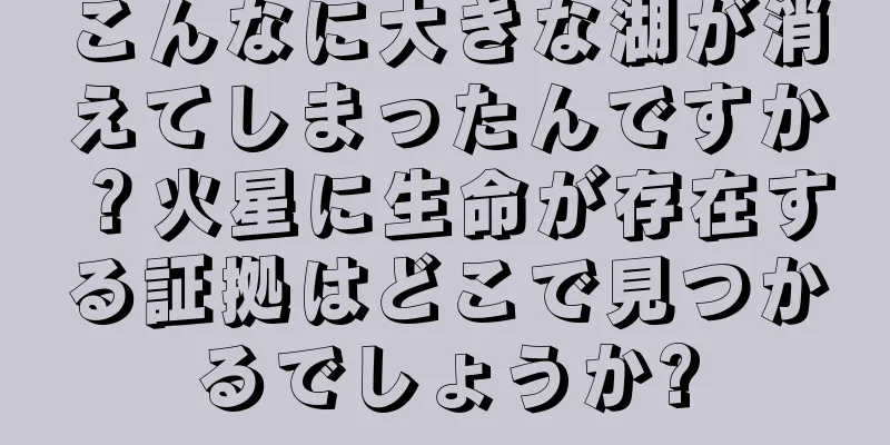 こんなに大きな湖が消えてしまったんですか？火星に生命が存在する証拠はどこで見つかるでしょうか?