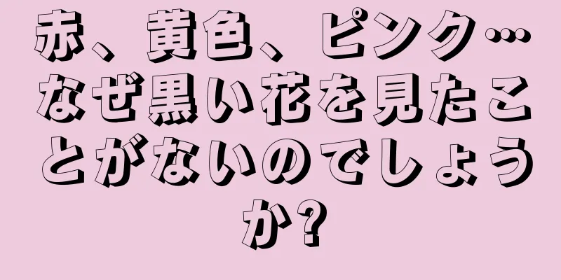 赤、黄色、ピンク…なぜ黒い花を見たことがないのでしょうか?