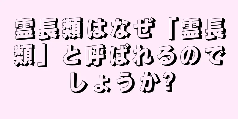 霊長類はなぜ「霊長類」と呼ばれるのでしょうか?