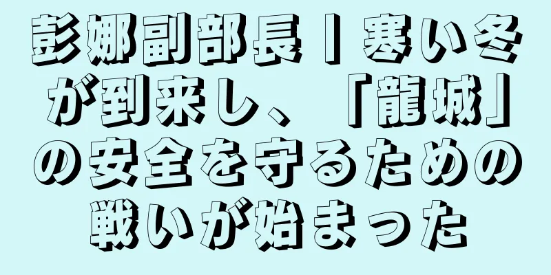 彭娜副部長丨寒い冬が到来し、「龍城」の安全を守るための戦いが始まった