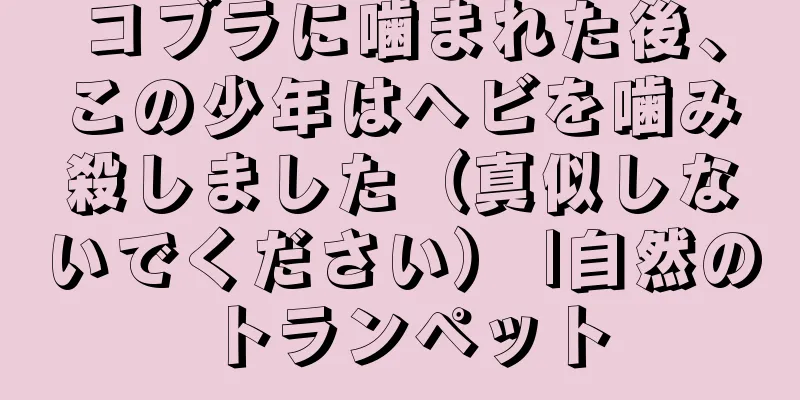 コブラに噛まれた後、この少年はヘビを噛み殺しました（真似しないでください） |自然のトランペット
