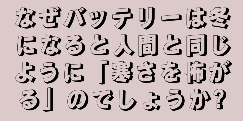 なぜバッテリーは冬になると人間と同じように「寒さを怖がる」のでしょうか?
