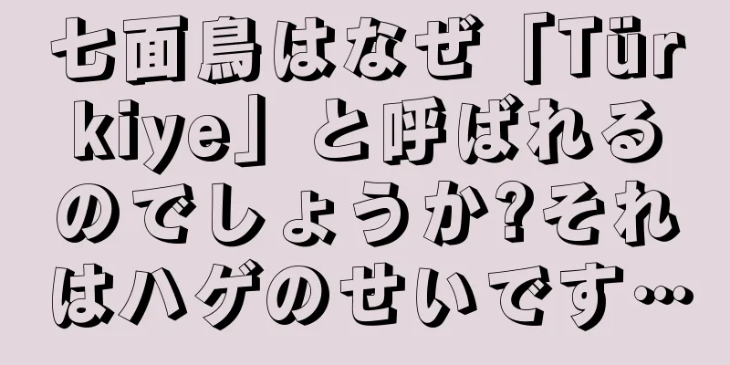 七面鳥はなぜ「Türkiye」と呼ばれるのでしょうか?それはハゲのせいです…