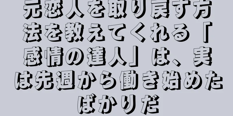 元恋人を取り戻す方法を教えてくれる「感情の達人」は、実は先週から働き始めたばかりだ