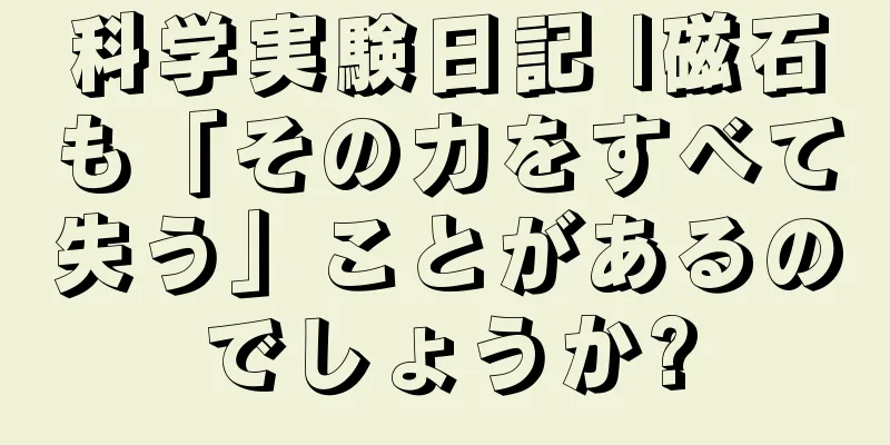 科学実験日記 |磁石も「その力をすべて失う」ことがあるのでしょうか?