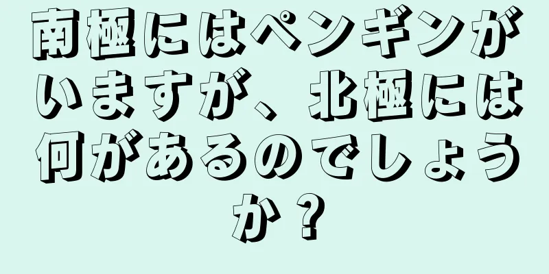 南極にはペンギンがいますが、北極には何があるのでしょうか？