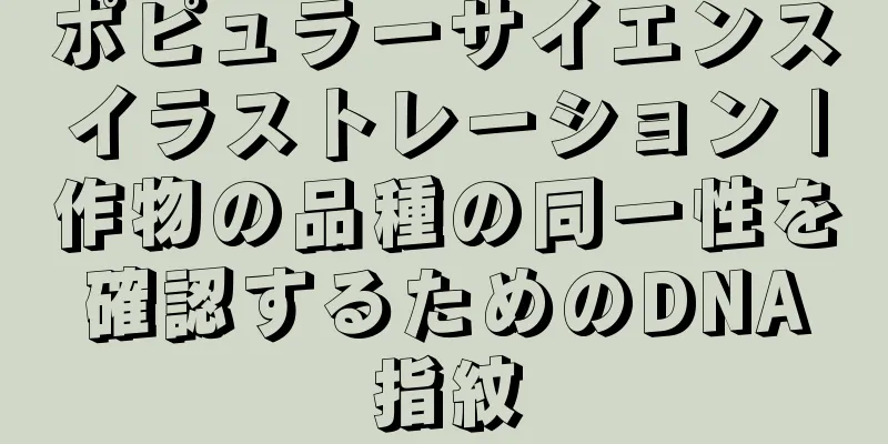 ポピュラーサイエンスイラストレーション |作物の品種の同一性を確認するためのDNA指紋