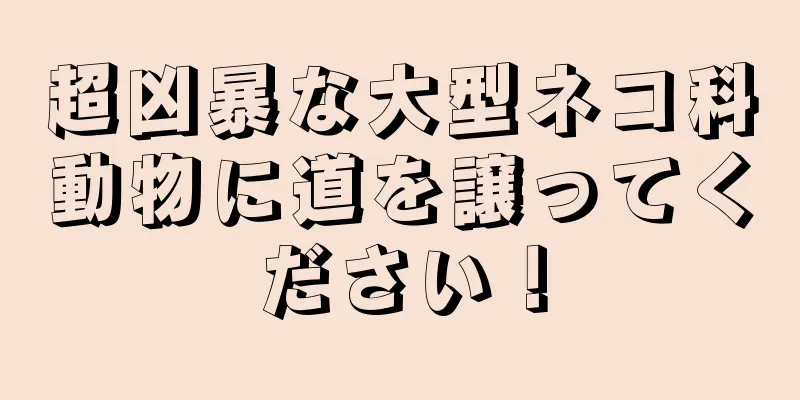 超凶暴な大型ネコ科動物に道を譲ってください！