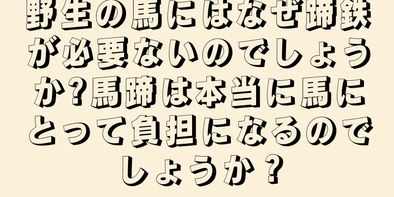野生の馬にはなぜ蹄鉄が必要ないのでしょうか?馬蹄は本当に馬にとって負担になるのでしょうか？