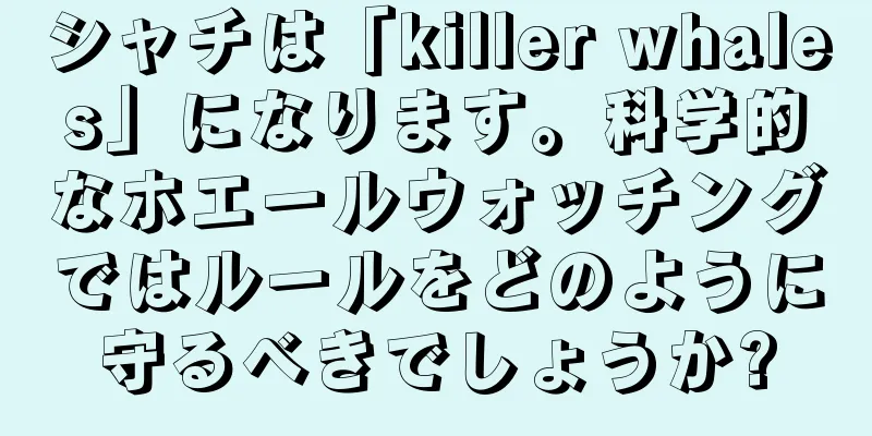 シャチは「killer whales」になります。科学的なホエールウォッチングではルールをどのように守るべきでしょうか?